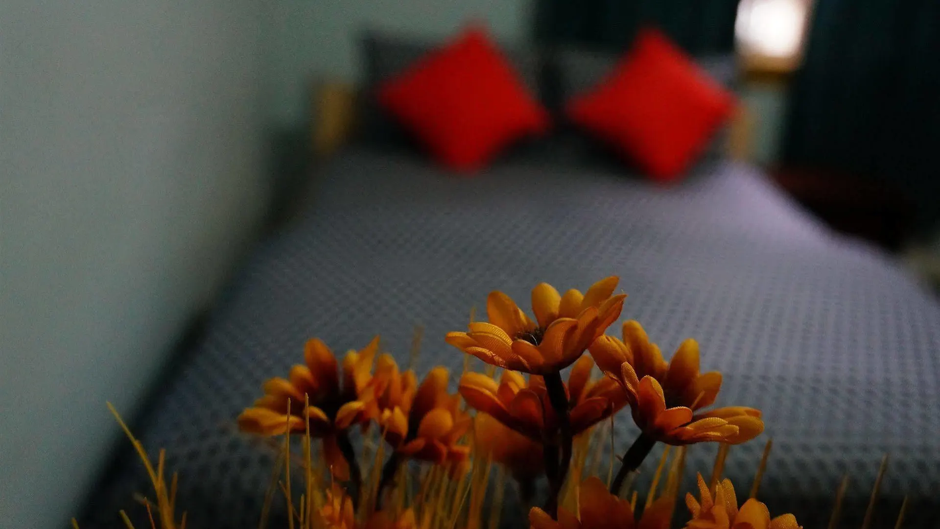 Kensington Market House Hostel Toronto 2*,  Canada